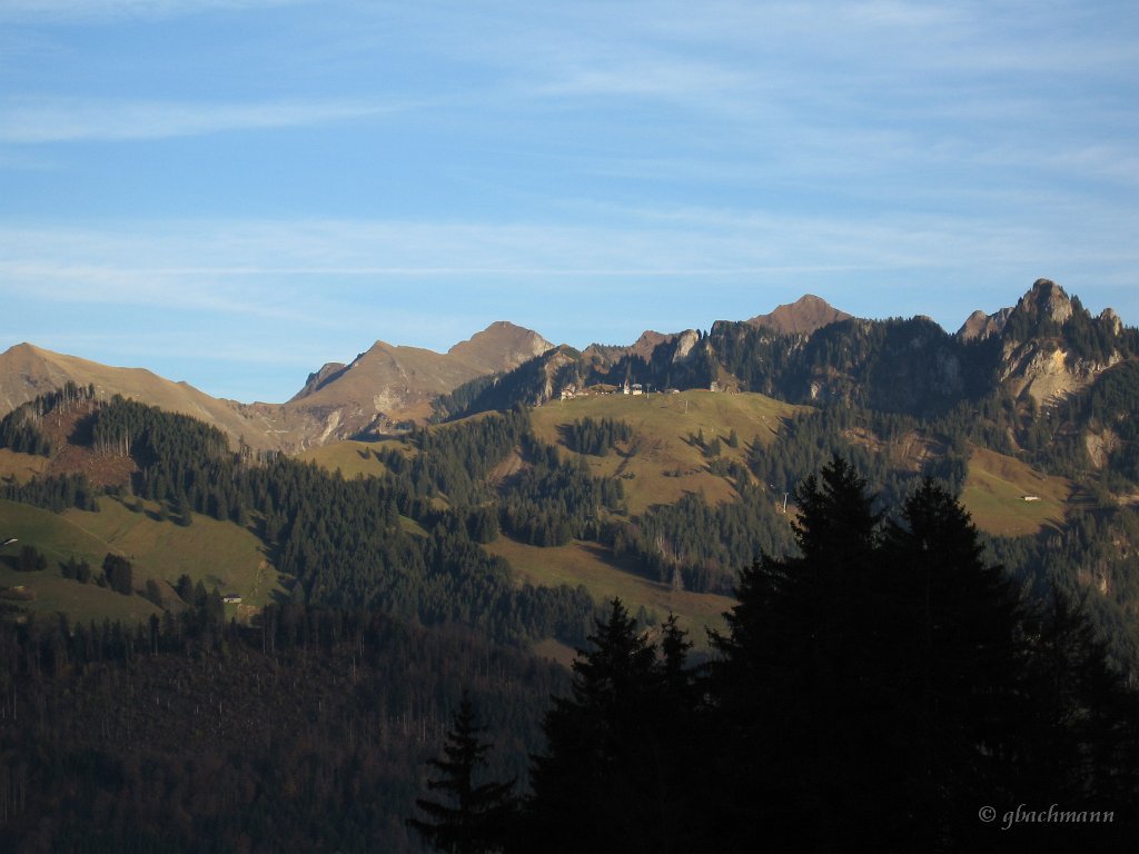 20081026_301